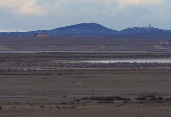 Laguna de Gallocanta y embalse de Mezalocha